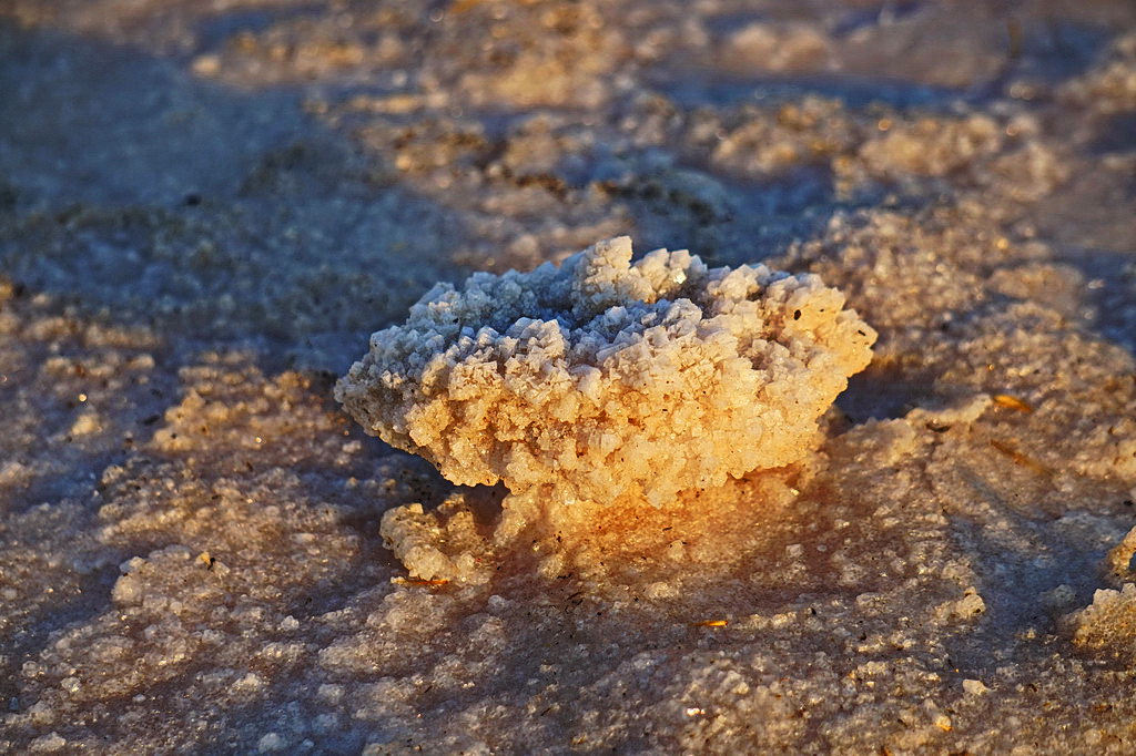 Соляні кришталі на озері Сиваш (мис Березіна)