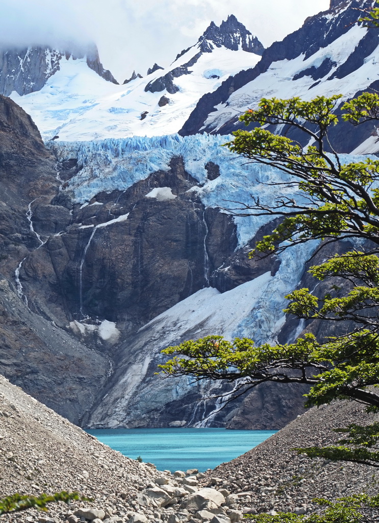 Льодовик та лагуна Piedras Blancas в Патагонії