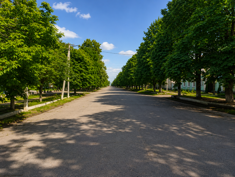 Зелена перспектива Миколаївської вулиці