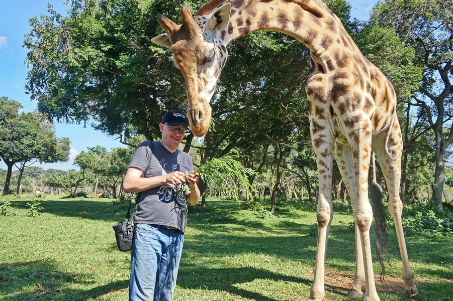 З жирафом в Уганді