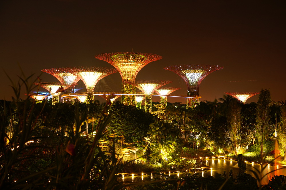 Нічний Сінгапур: Gardens of the Bay