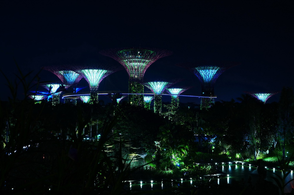 Нічний Сінгапур: Gardens of the Bay