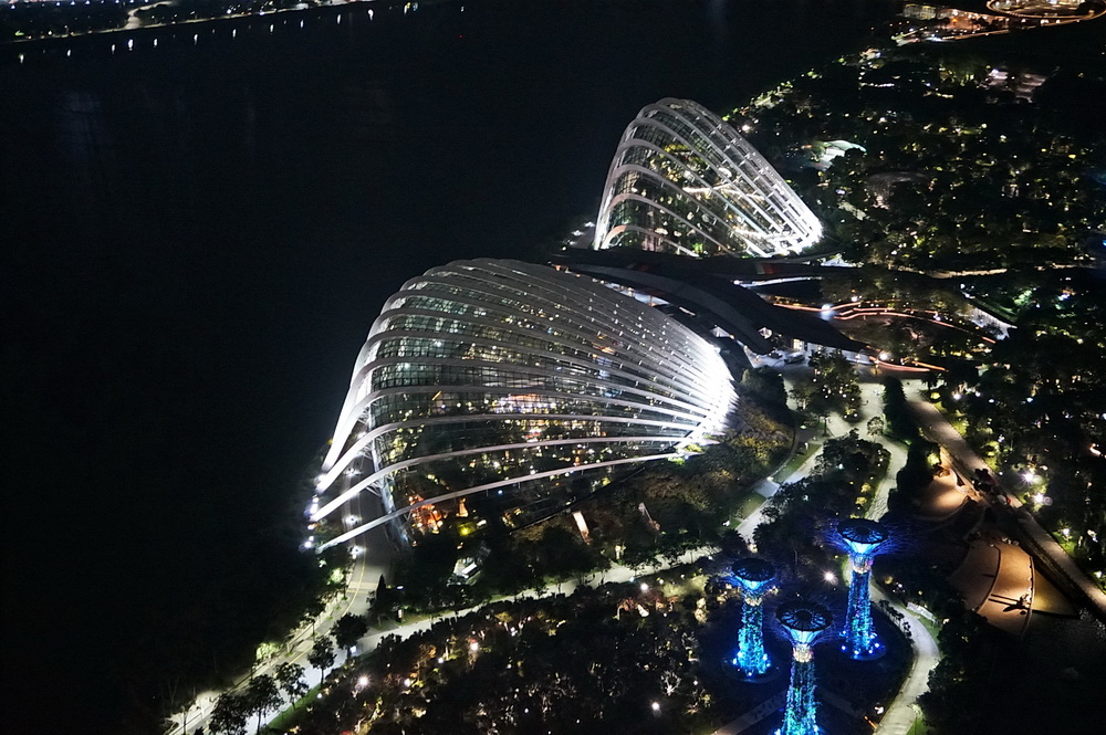 Нічний Сінгапур: оглядовий майданчик скайпарку готелю Marina Bay Sands