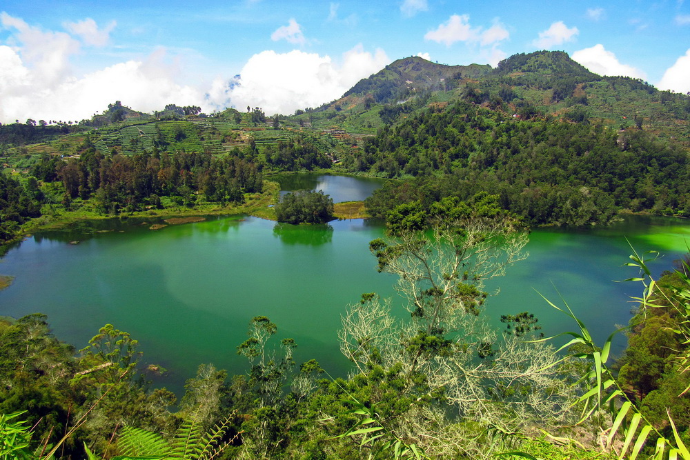 Озеро Телага Варна на острові Ява (Індонезія)