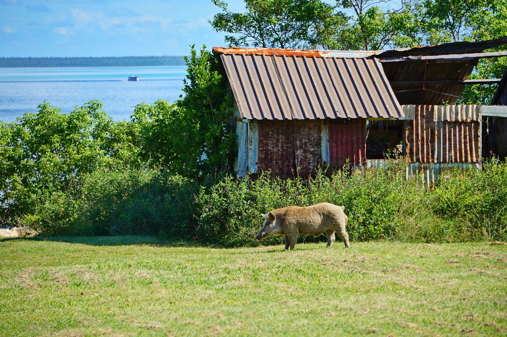 Село на острові 'Атата (Тонга)