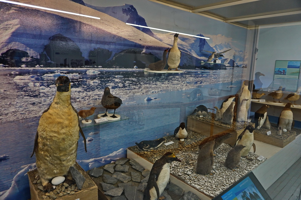Морський музей в Ушуаї